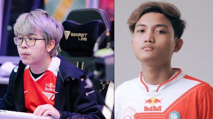 Biodata Pro Player Esports Indonesia Terbaru